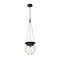 Z-Lite Calhoun Pendant, 1-Light, 9 In.W x 10.75 In.H, Matte black/Clear seedy 7506P9-MB - alternate 8